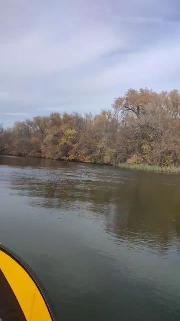 #осень #дон #рыбалка #shorts смотреть онлайн