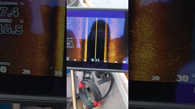 эхолот lowrance elite fs 9 . как выглядит лещ в эхолоте смотреть онлайн