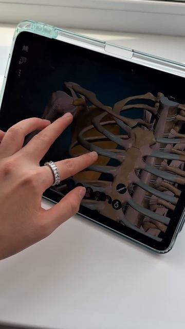 Тренировка на осанку и укрепление мышц спины — уже в м смотреть онлайн