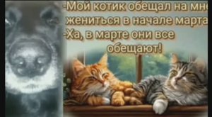 Наш весёлый анекдот