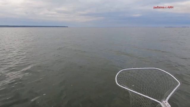 Судак на зимнюю блесну смотреть онлайн