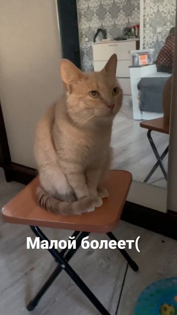 Малому тяжело дышать. смотреть онлайн