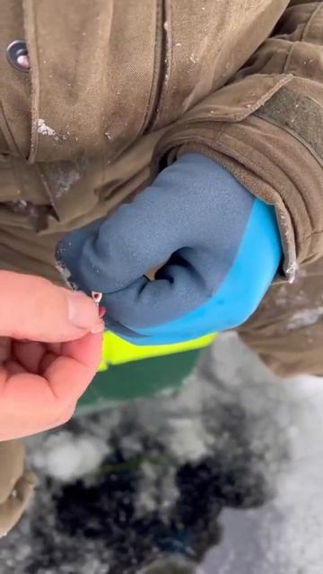 PandaSakha - #fishing #рыбалка #north #север #PandaSakha #short смотреть онлайн