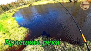 Приглашаю на прогулку по красивой реке.