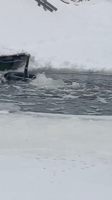 #рекомендации #зимнее #мотосноуборд #мотособака #snike #з? смотреть онлайн