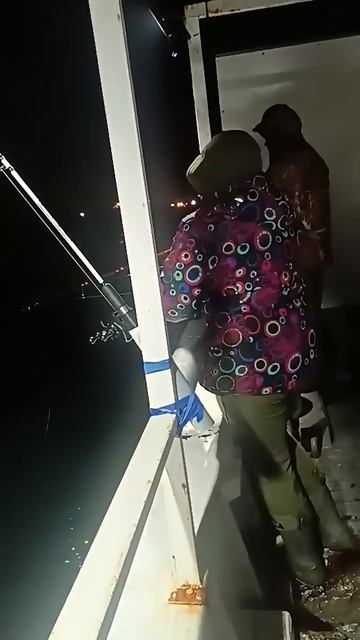 Ноябрь 2024 года, последния раздача кальмара. Жена в вос?