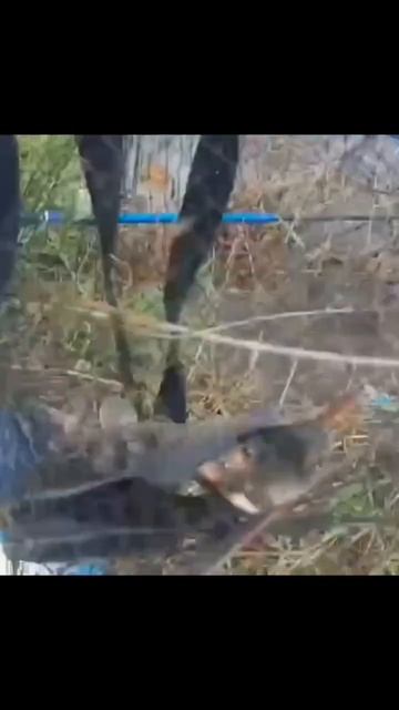 #рыбалка Подпишись на телеграмм канал ( охота 54 ) смотреть онлайн