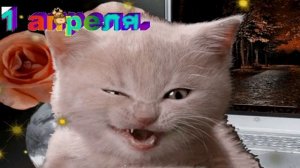 Прикольное поздравление с 1 апреля. С Днем Смеха !!!