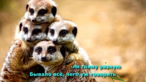 Денис Майданов - Друзьям (караоке)