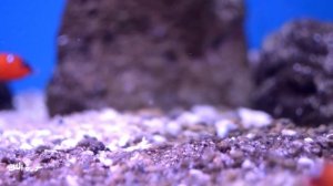 Океан 4к Видео - Живописных Фильм о дикой 
Природе -| На фоне Коран | Сура- Аль-Мульк |