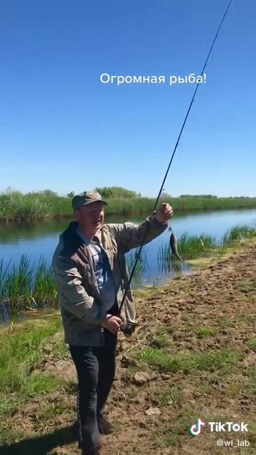 Сибирский Страник Руслан и сестра Наталья и сын Русла?