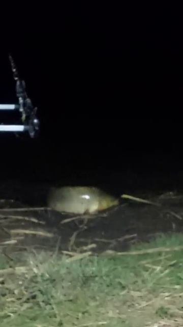 Не уйдёшь 🤣🤣 #shorts #приколы #fish #рыбалка #юмор #смешнов? смотреть онлайн