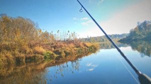 МИКРОДЖИГ или FREE-RIG? Что и Когда Применять?