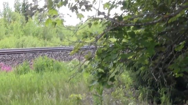 ШЛЯПИНО. Экспериментальная летняя баня. смотреть онлайн