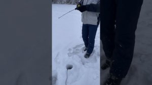 Лучший эхолот для зимней рыбалки! Сравнение ВСЕХ эхол?