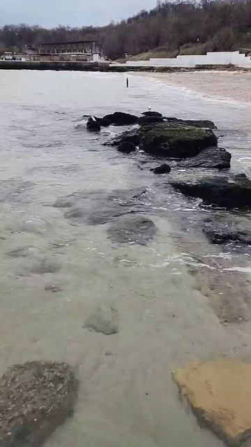 Одесса⚓ #уЧерногоМоря✨Декабрь 2024