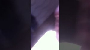 Легонько шлепнул по попке
