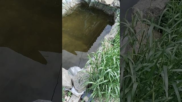 Тест искусственного мотыля@рыблака смотреть онлайн