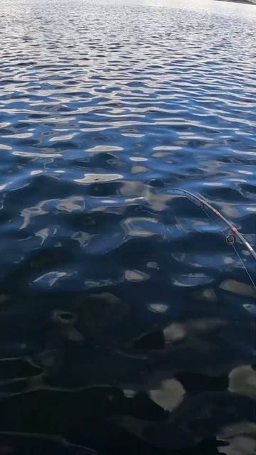 НА БЛЕСНУ смотреть онлайн