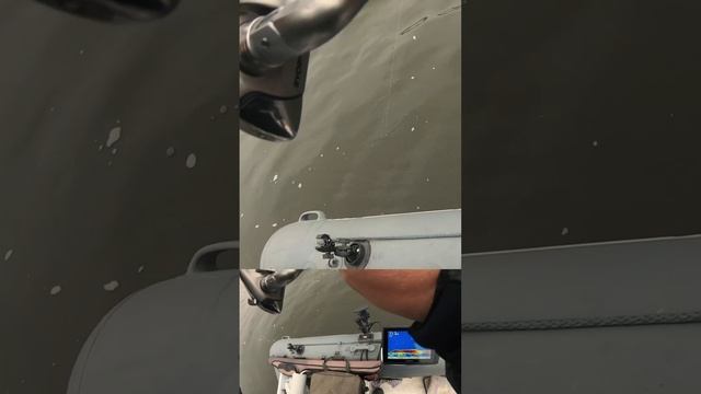 Судак на 10 кг | Panoptix смотреть онлайн