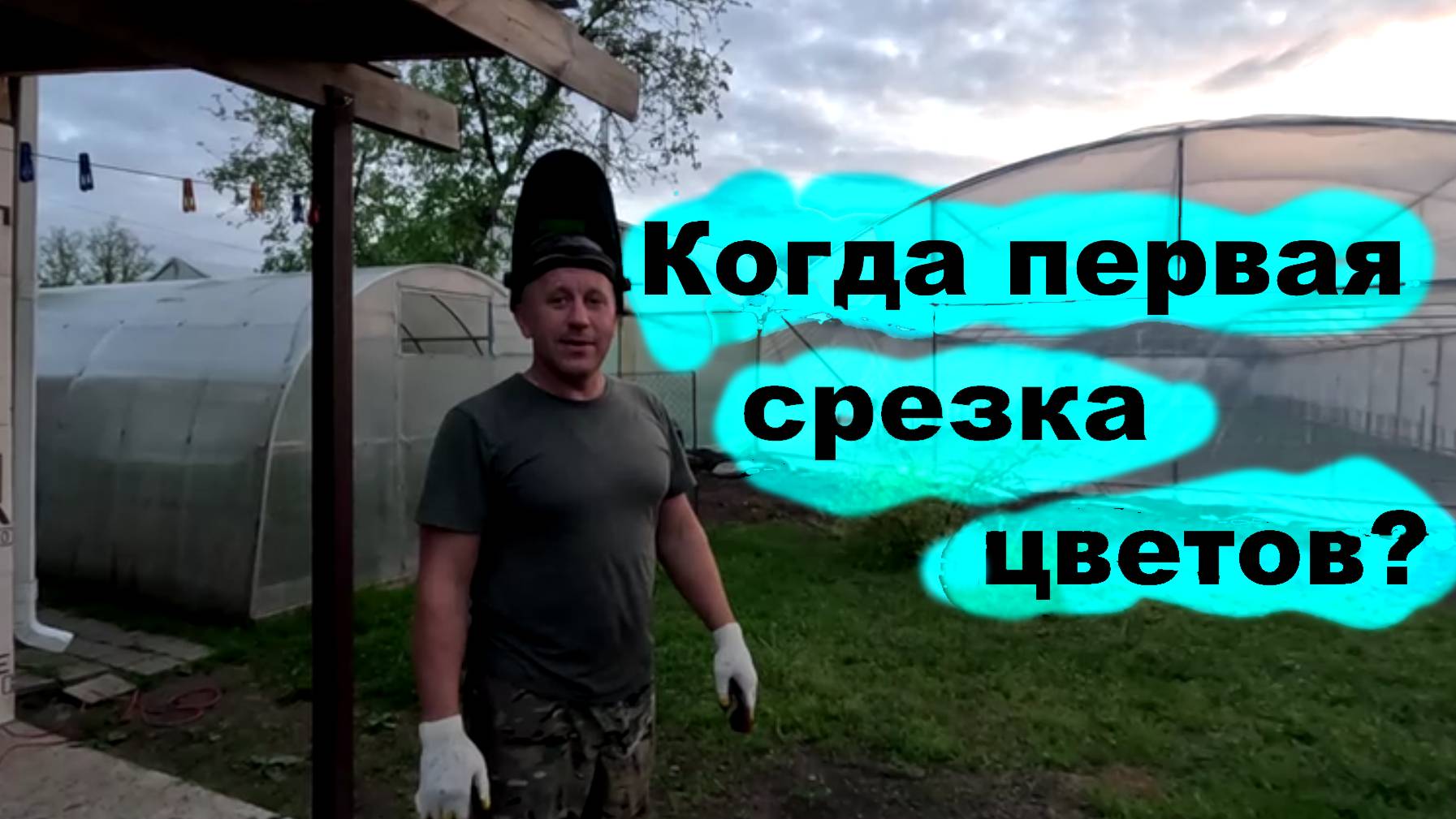 #256 Подготовка к срезке первого урожая цветов. смотреть онлайн