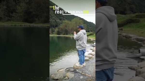 TIMON FUTTEN - похоже, лучший воблер на форель #Futten #Jackall #AreaTro