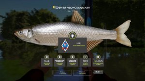 ТРОФЕЙ ШЕМАЯ ЧЕРНОМОРСКАЯ!!!ВОДОЕМ СЕВЕРСКИЙ ДОНЕЦ - РУССКАЯ РЫБАЛКА 4