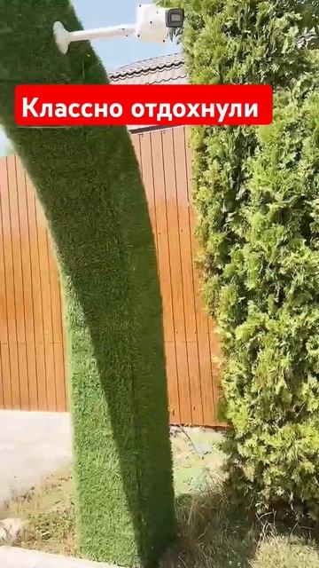 Самолёт плюс и корпоратив. Классный отдых в Краснодар? смотреть онлайн