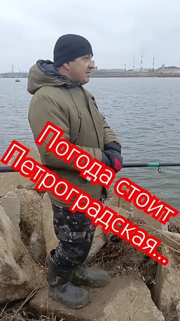 ПОГОДА СТОИТ ПЕТРОГРАДСКАЯ… #рыбалкавидео #налим #рыб смотреть онлайн