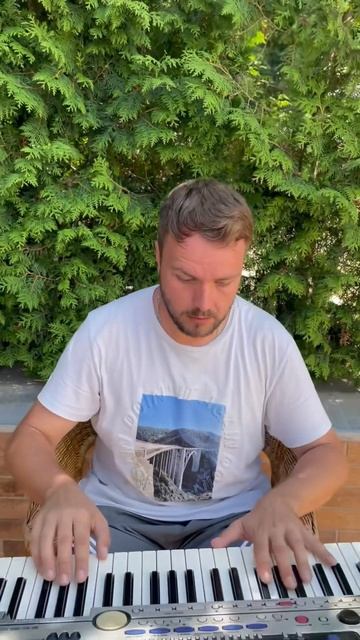 #piano #humor #музыка #youtubeshorts #юмор #music #бассейн #swimming #swimmingpool смотреть онлайн