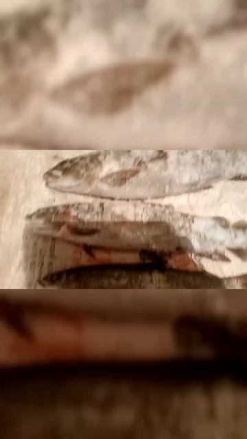 Зимняя рыбалка!