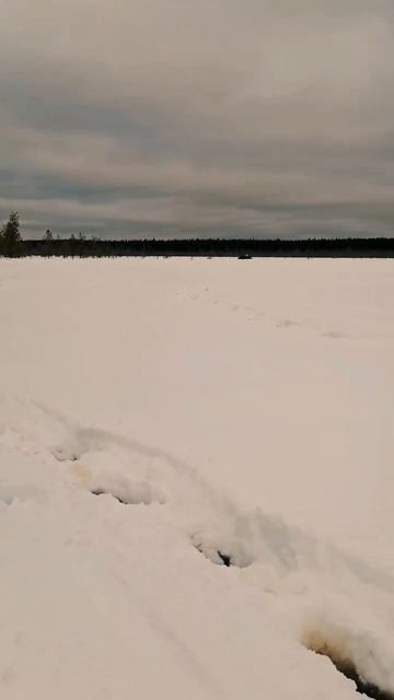 #shorts# глухозимье продолжаеться# #жерлицы #щука #северны смотреть онлайн