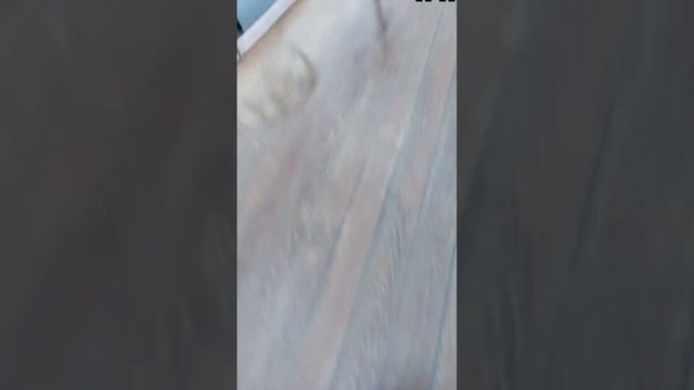 тут есть слово но я его потерял:( смотреть онлайн