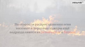 Лесные и торфяные пожары и их характеристика