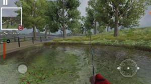 Ultimate Fishing simulator. Амур и сом