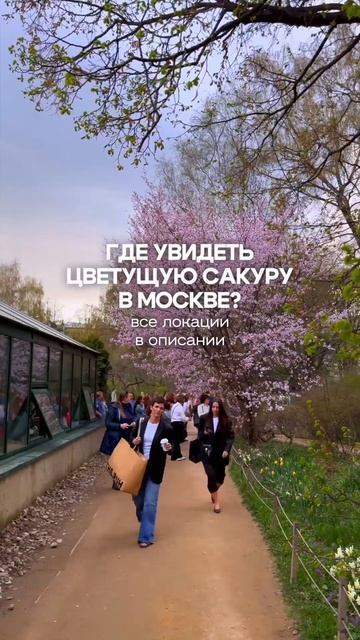 Локации👇🏻 #кудасходитьвмоскве #uptownmoscow #москва смотреть онлайн
