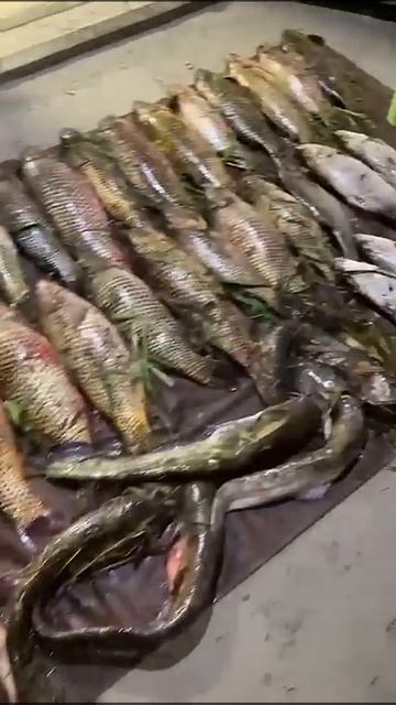 2025 Астрахань .рыбалка удалась!!!!!!!!