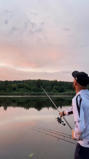 Что может быть лучше? #владрыбалка #fishing #carpfishing #carp #пой?