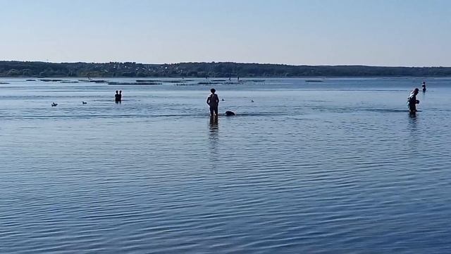 У озера "Плещеево" Переславль-Залесский Ярославской о? смотреть онлайн