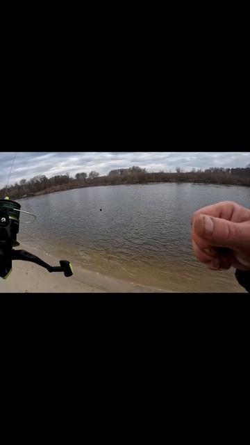 Відкриття фідерного сезону #fishing #shorts #фідер #риболовл? смотреть онлайн