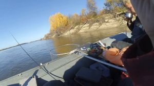 СААНЧЕЕЕС! ЭТО ПЯТНАШКА ! ДАВАЙ ПОДСАК!Трофейная рыбалка осенью