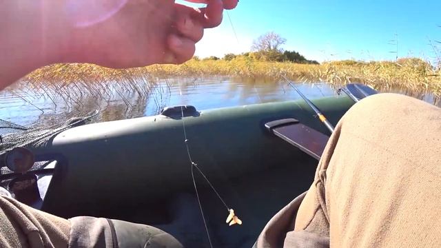 Что не поклёвка – ЛАПОТЬ!! КАРАСИ ПОД КИЛОГРАММ на ПОП? смотреть онлайн