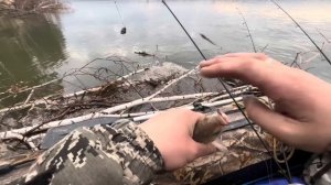 Рыбалка на реке Обь 2025