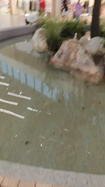 Торговый центр в Калининграде *Фантан* смотреть онлайн