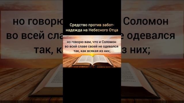 Библия. Евангелие от Матфея 19-34. #Библия#Бог#вера#любов? смотреть онлайн
