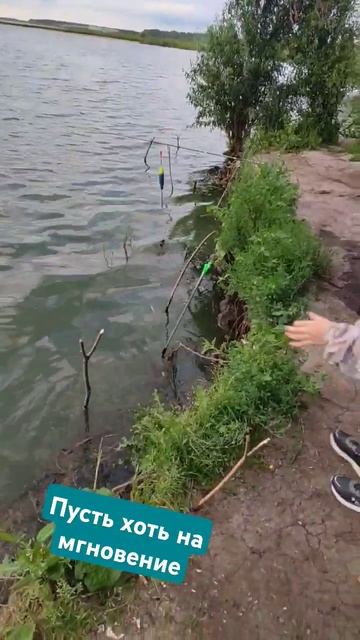 с папой на рыбалку #папа #папаможет #папасаша #нарыбалк смотреть онлайн