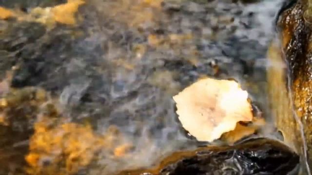 Ручеечек - Анатолий Полотно и Федя Карманов смотреть онлайн