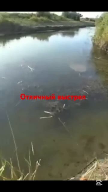 Рыбалка новинки #fishing #2024 #рыбалка