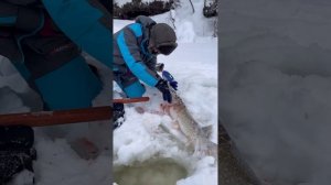 Зимняя рыбалка на притоке Северной Сосьвы