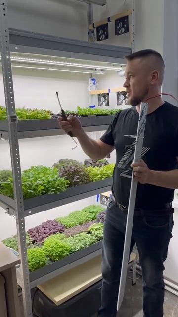 Светильник для бейби- листа , цветов, микрозелени .Длин смотреть онлайн